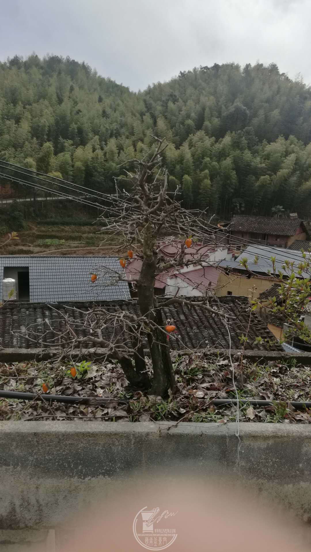 ΢ͼƬ_20190127213946.jpg