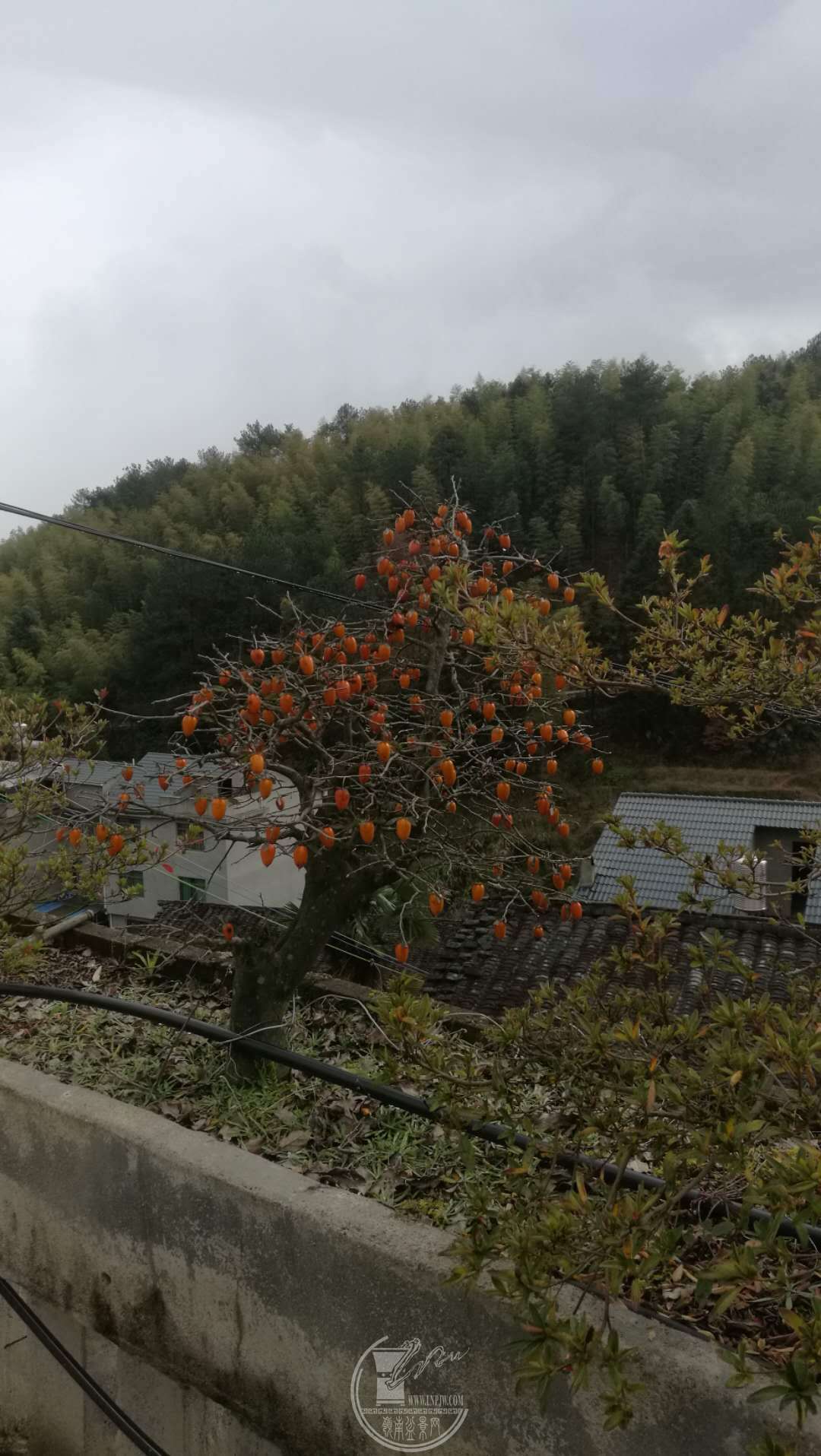 ΢ͼƬ_20190127214004.jpg