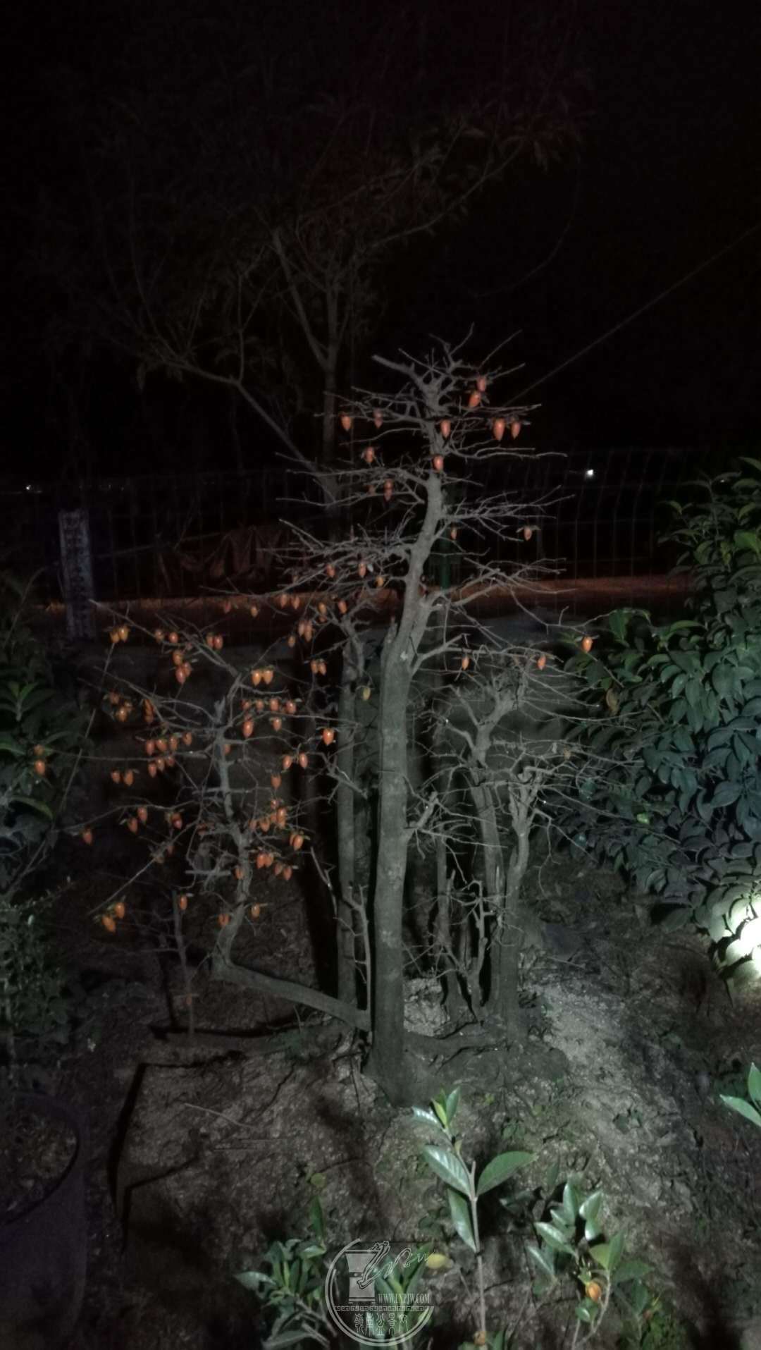΢ͼƬ_20190127214010.jpg