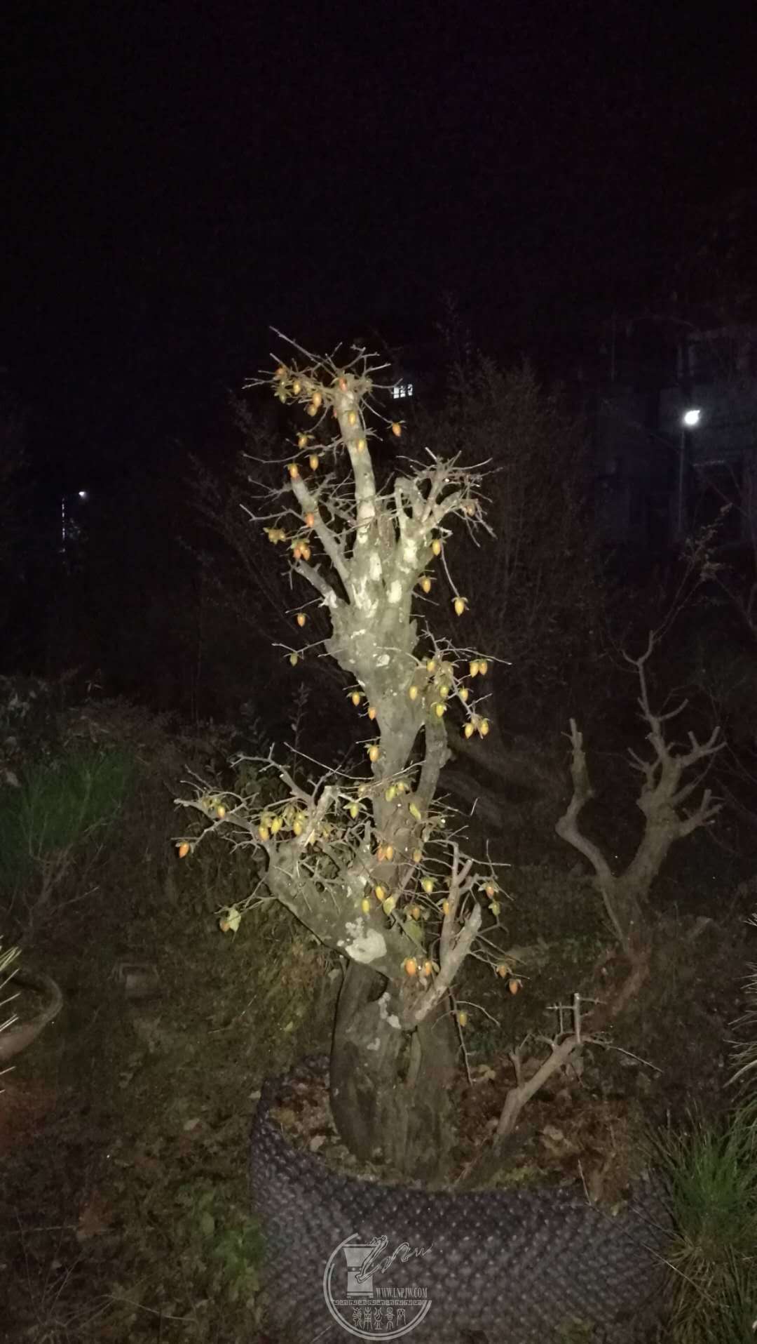 ΢ͼƬ_20190127213531.jpg