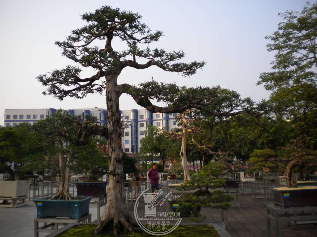 DSCN0109.JPG