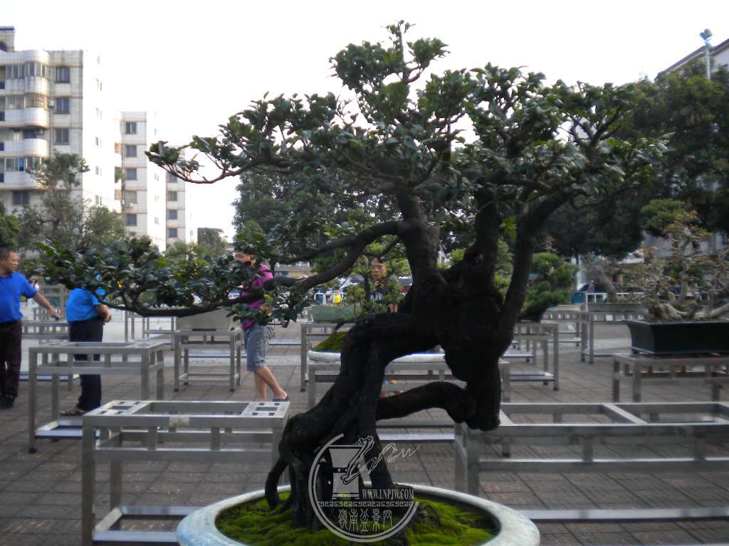 DSCN0122.JPG
