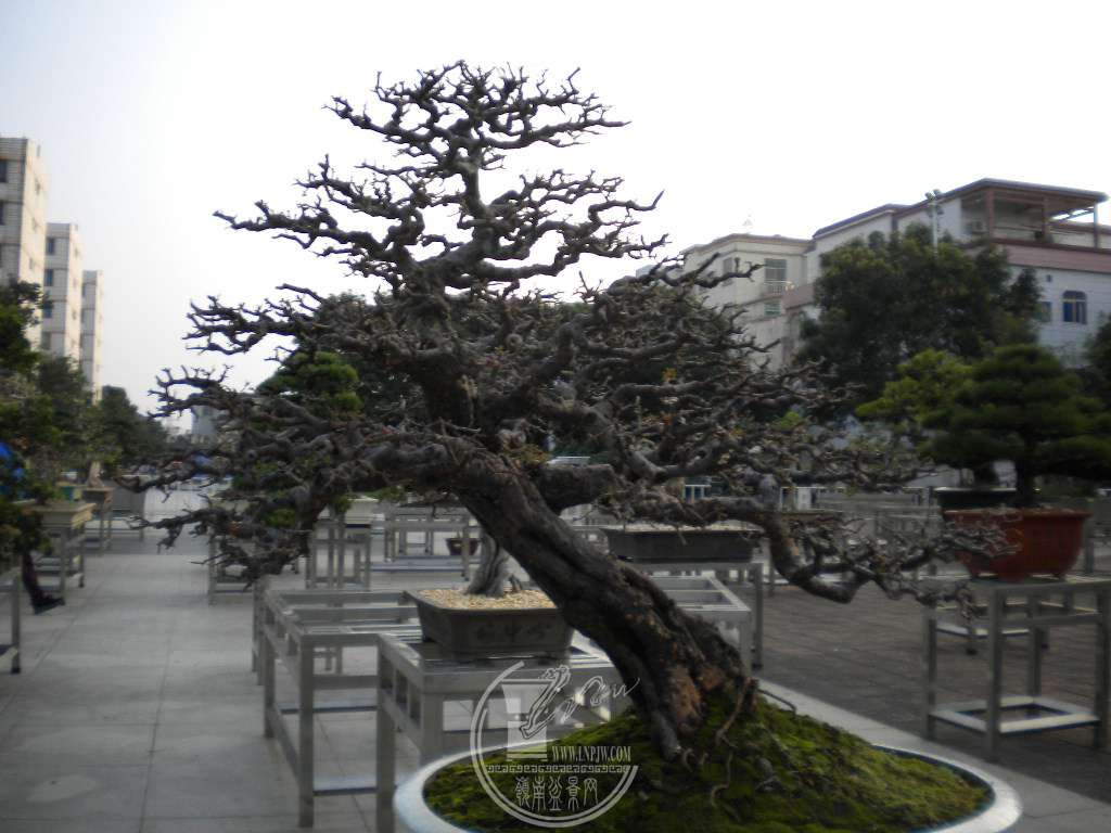 DSCN0132.JPG