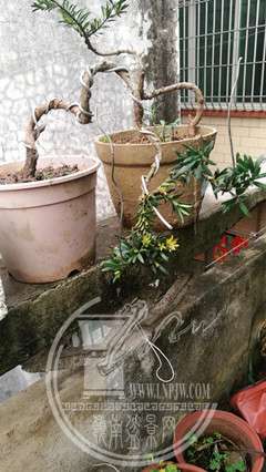 ΢ͼƬ_20190220101909.jpg