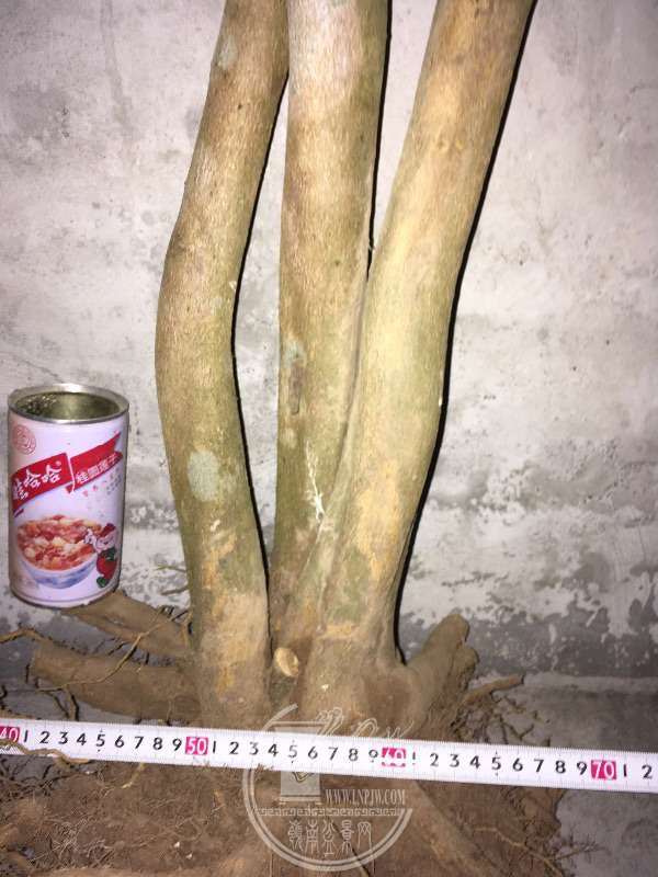 956230