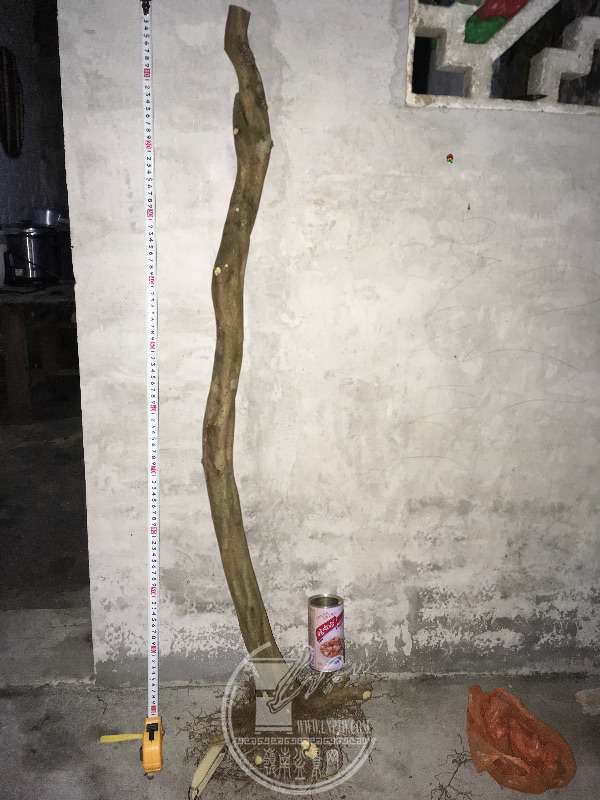 956255