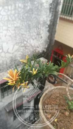 ΢ͼƬ_20190301103705.jpg