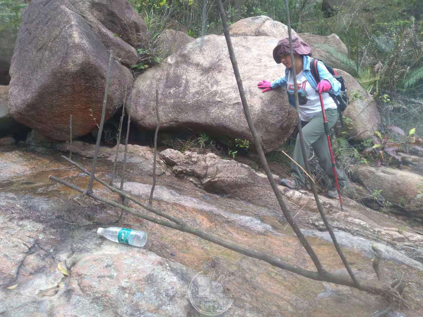 71551615890_.pic.jpg