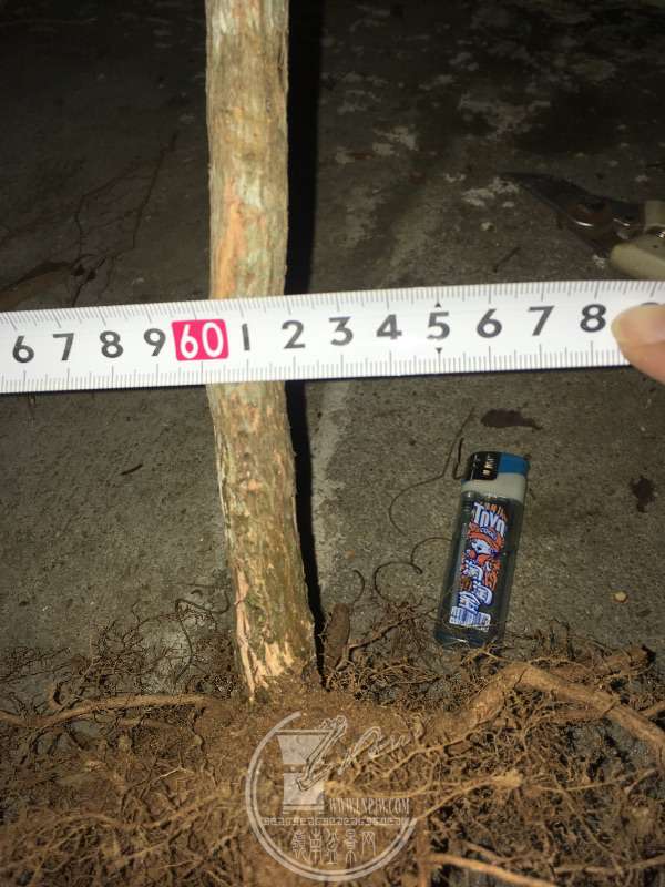 956895