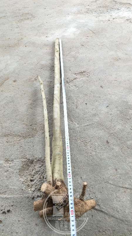 957443