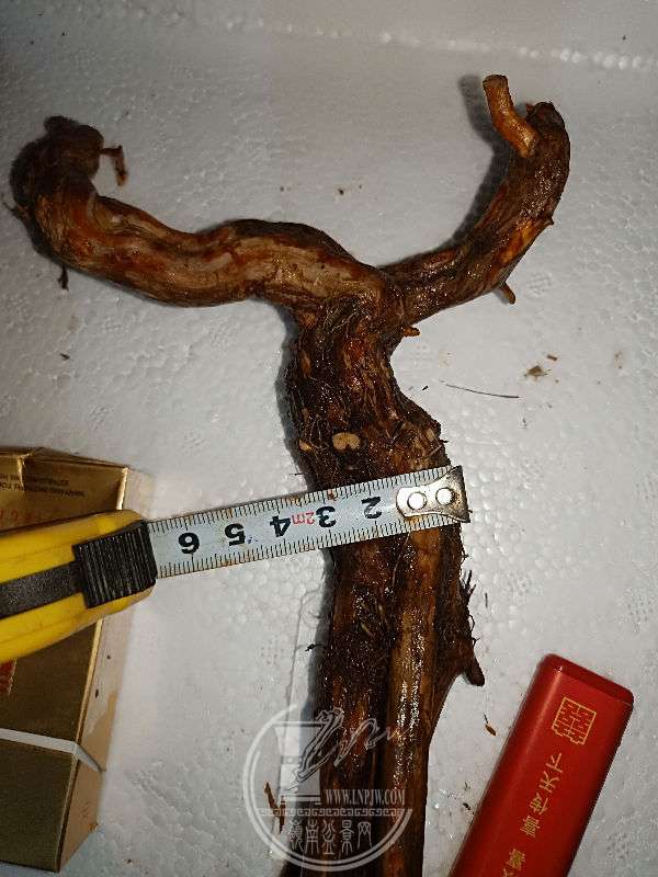 957727