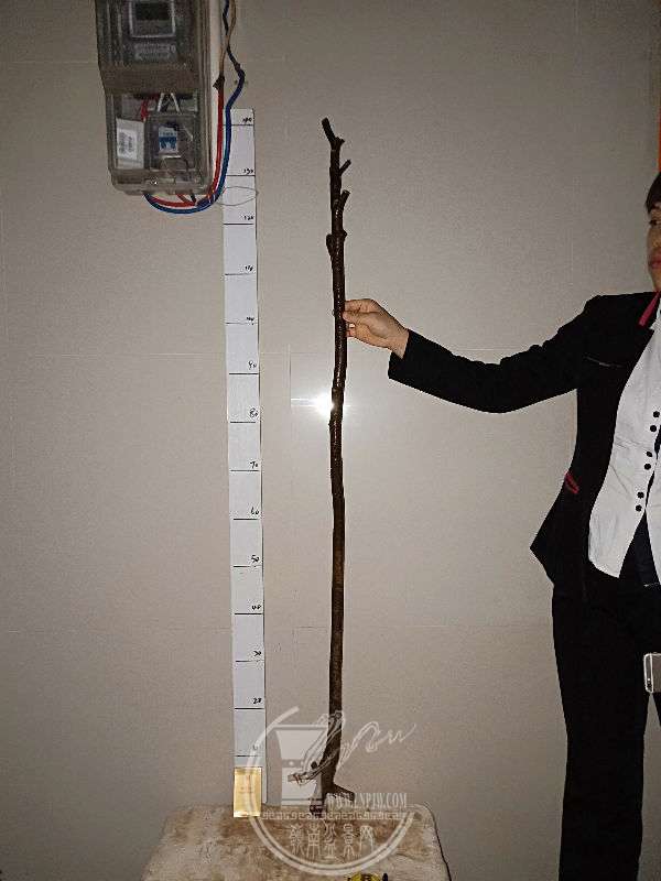 957800
