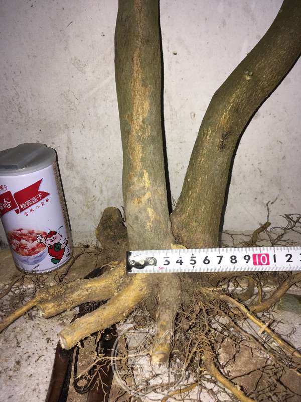 958077