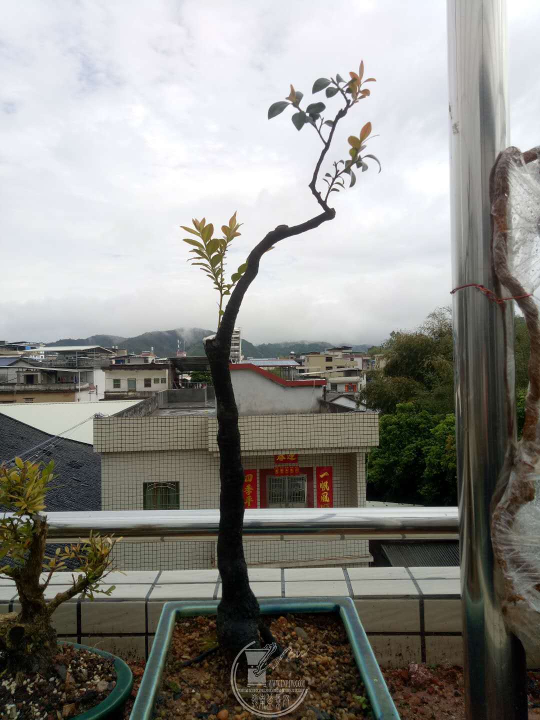 ΢ͼƬ_20190325200805.jpg