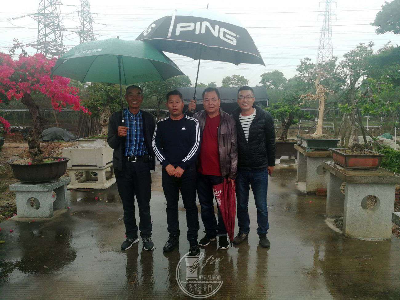 1081189027.jpg