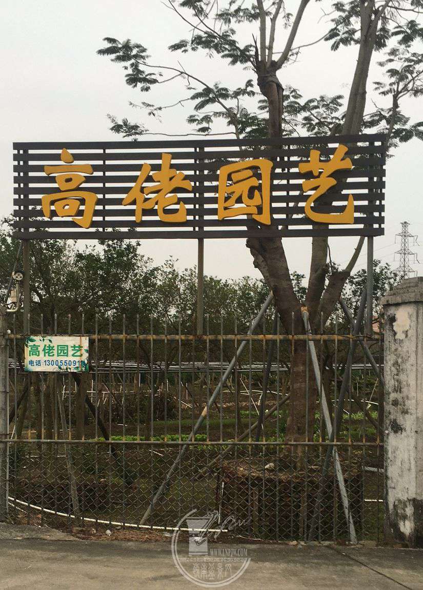 1685936298.jpg