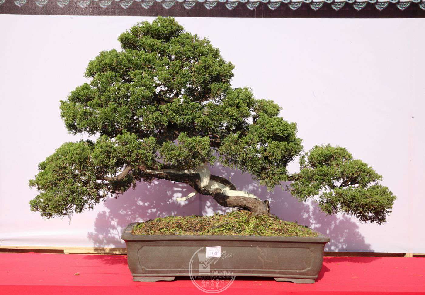 10ֳ      100120   ʨ   ïʯ辰Э   IMG_0345I.jpg
