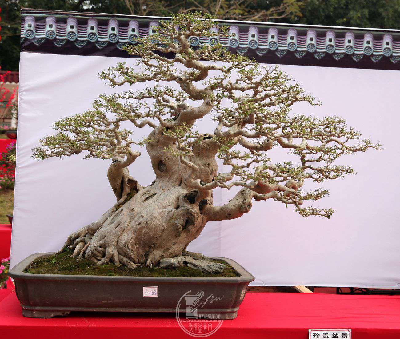11Ƹ   {ž   120150      ࿲辰ʯЭ   IMG_0453.jpg