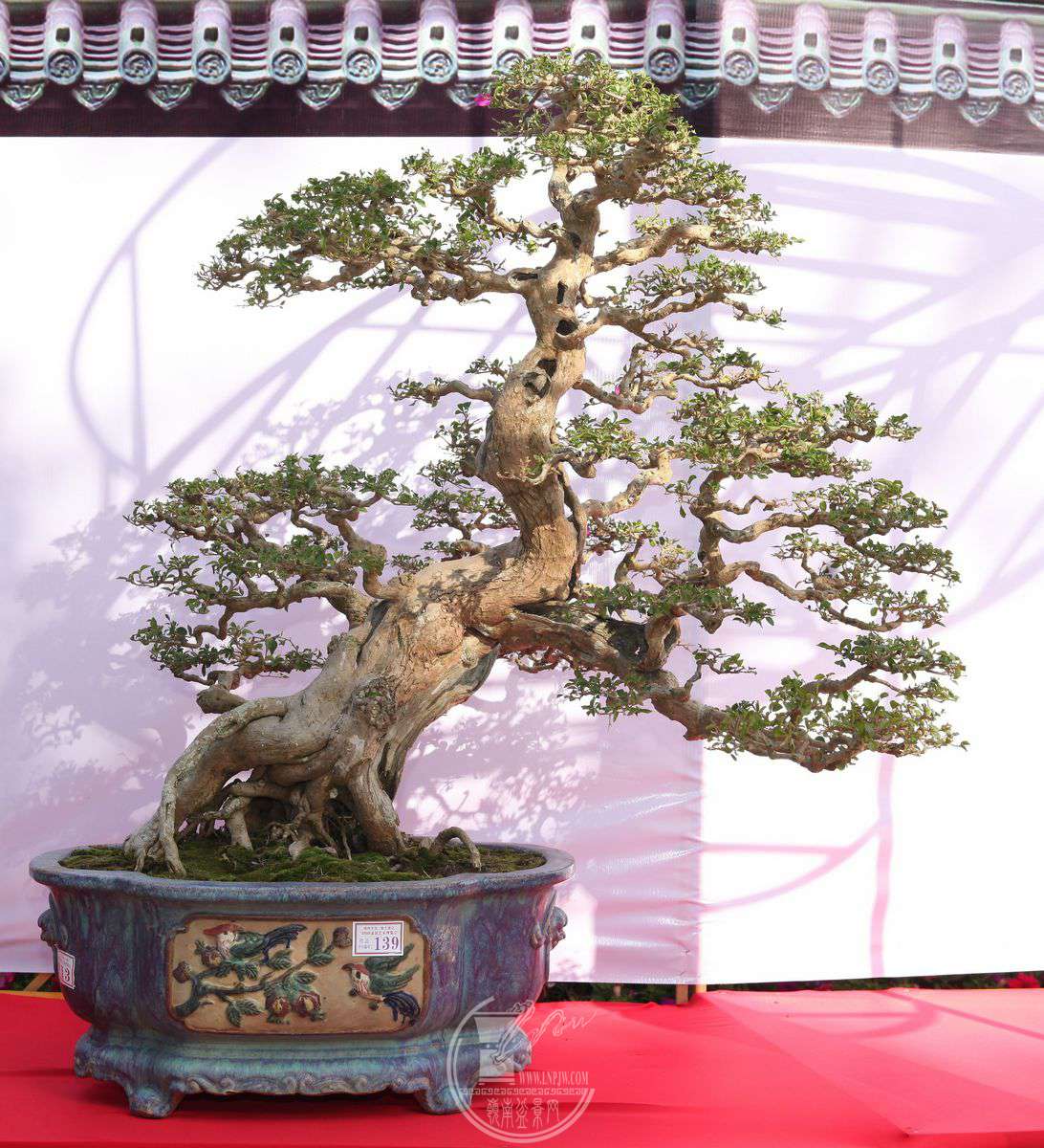 Ƹ   {ž   120120      ࿲辰ʯЭ   IMG_0316.jpg