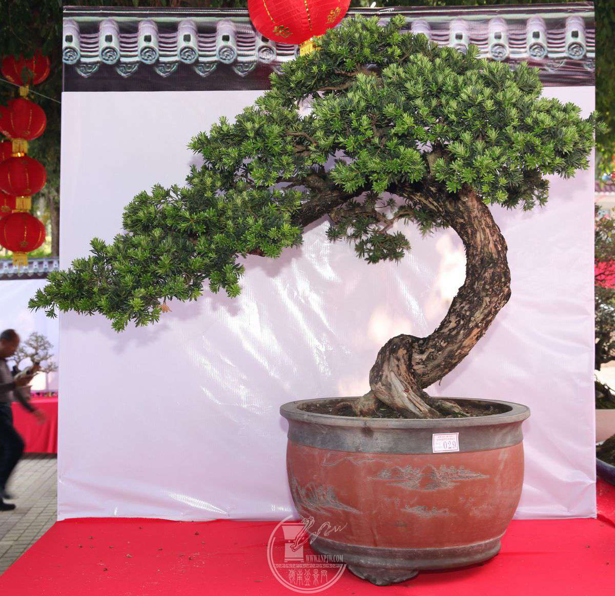־ΰ   ޺   70150      辰ʯЭ   IMG_0277.jpg