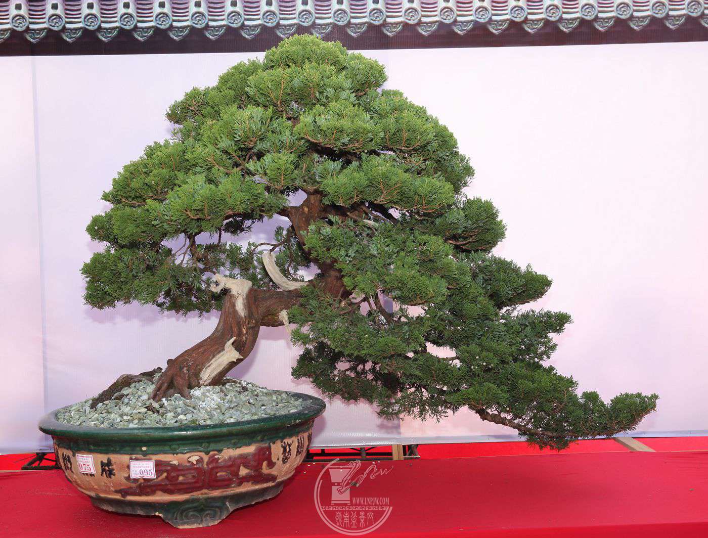 Ȩ      100150   հ   辰   IMG_0361.jpg