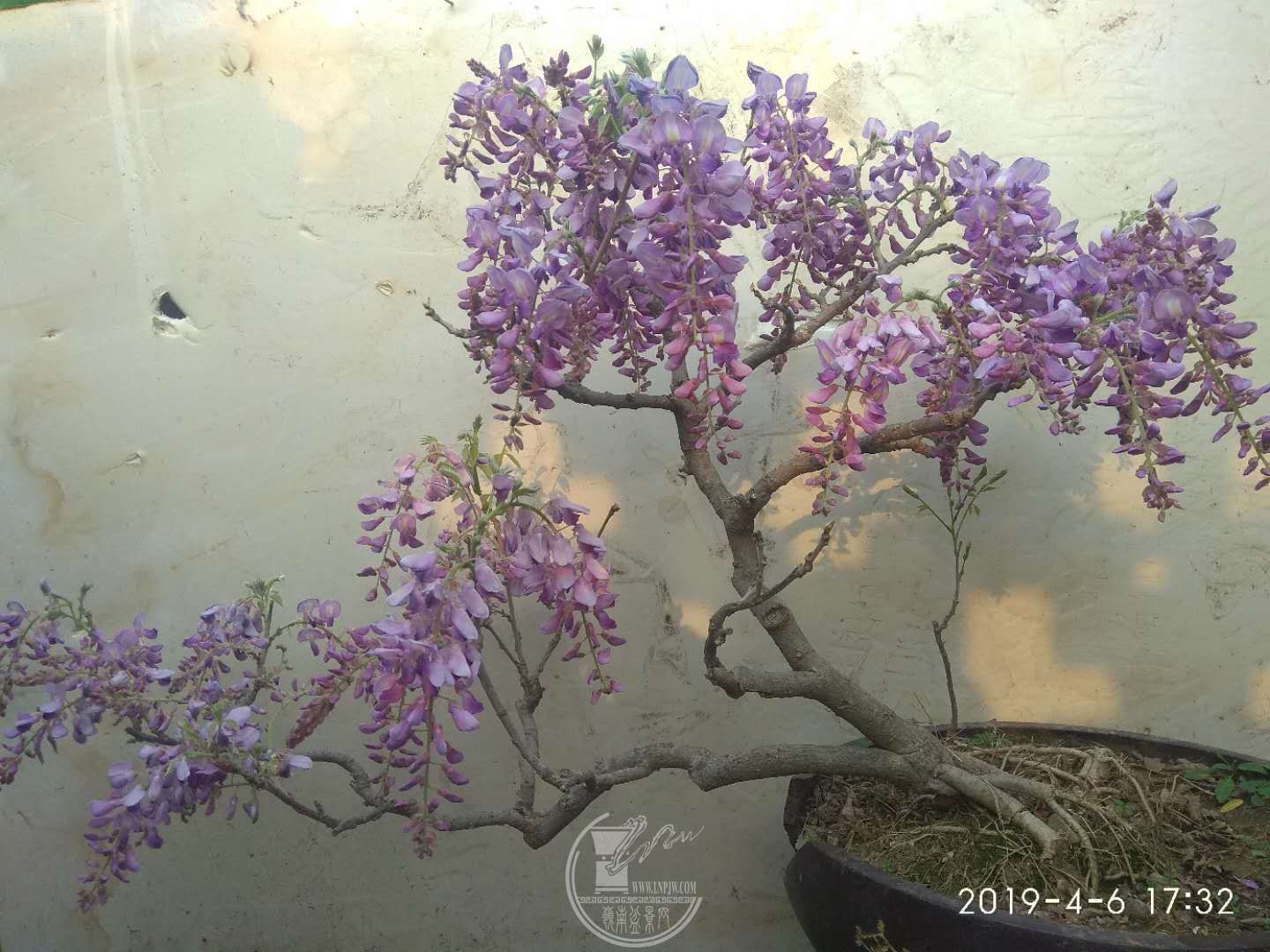 ΢ͼƬ_20190408152307.jpg