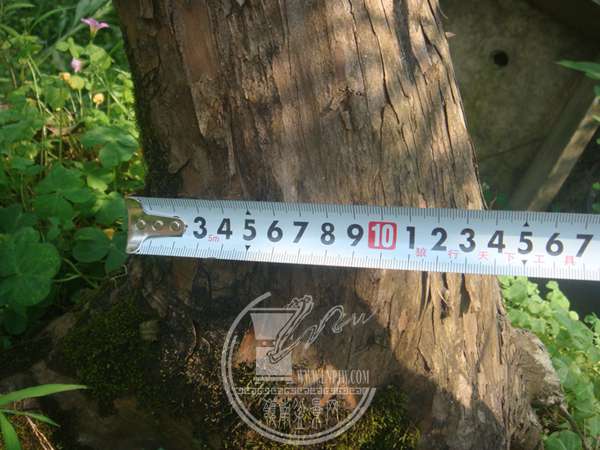 DSC00085.JPG