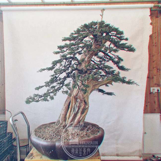 mmexport1552389581017.jpg