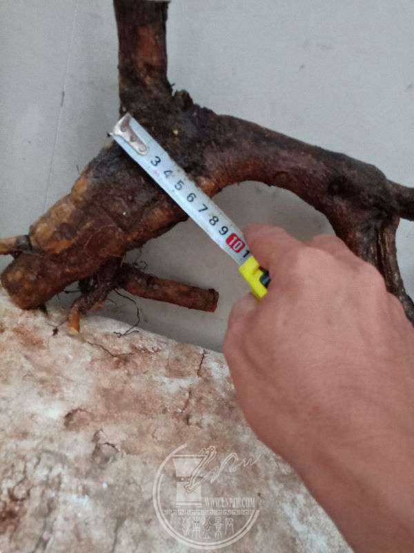 960251