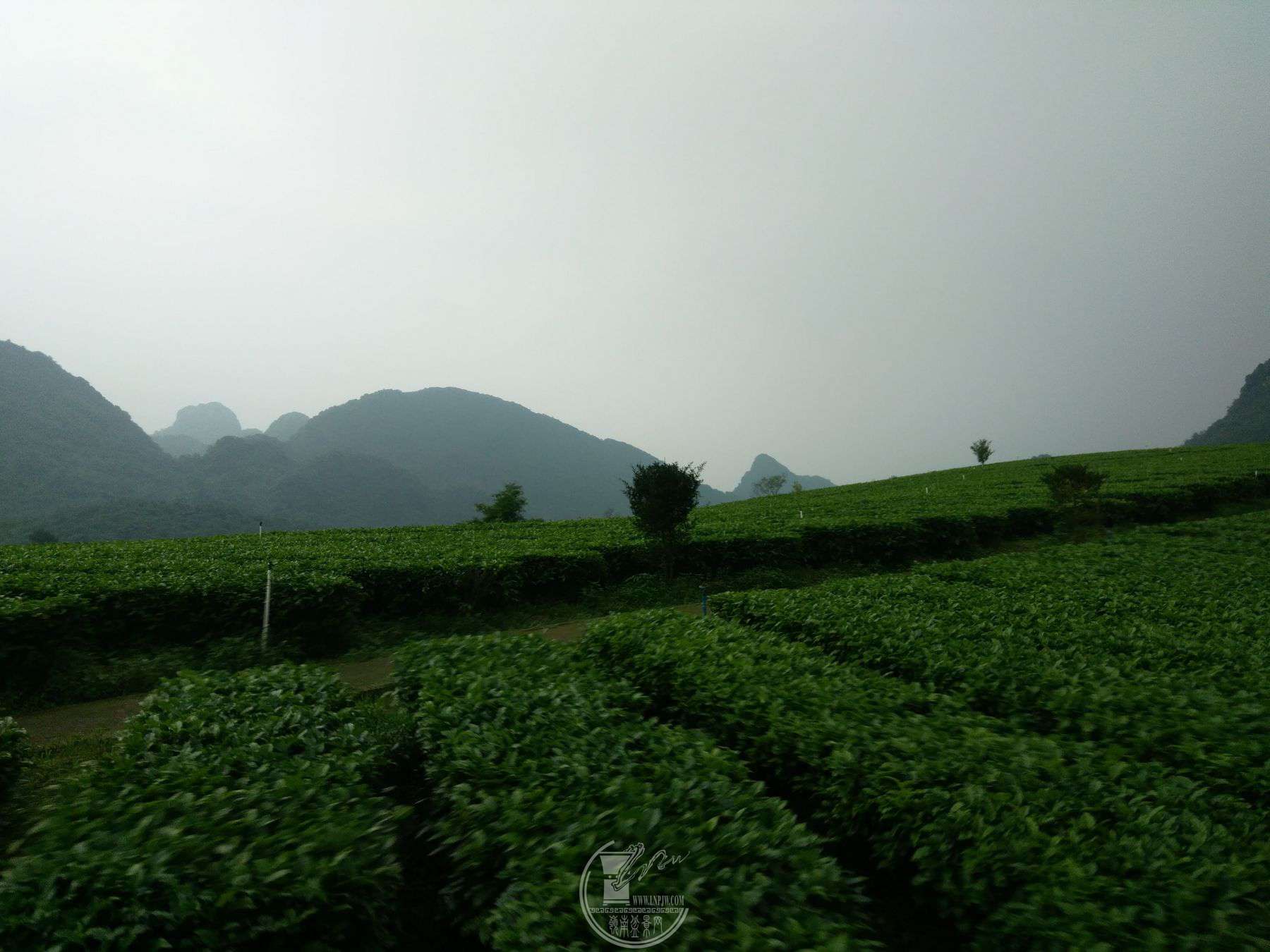 IMG_20190423_154136_ͼ.jpg