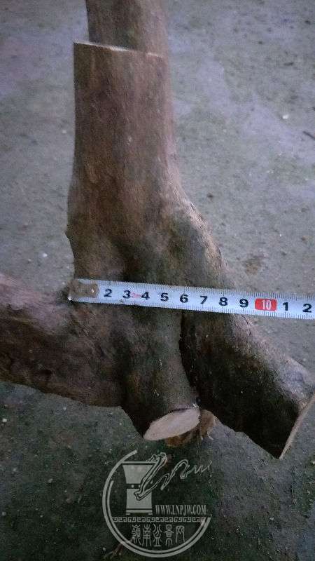 961268