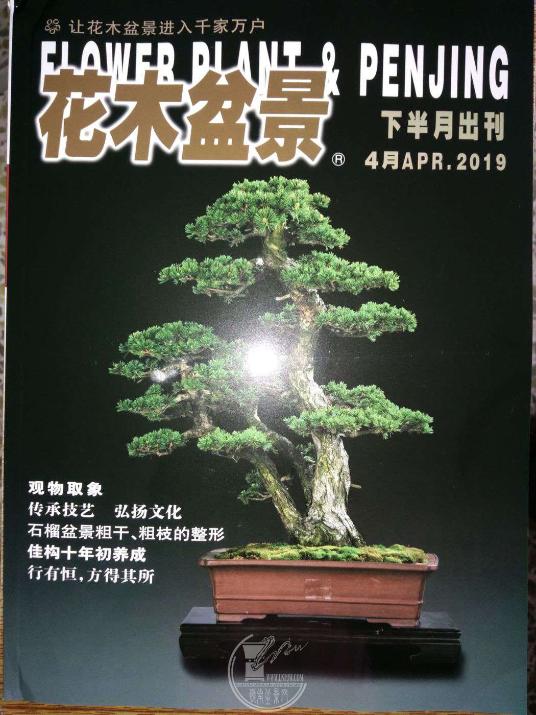 1081395370.jpg