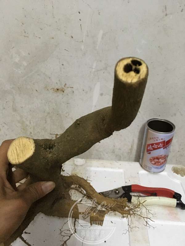 961776