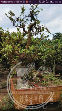 Screenshot_2019-05-06-15-48-36.png