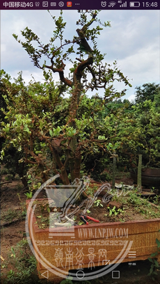 Screenshot_2019-05-06-15-48-36.png