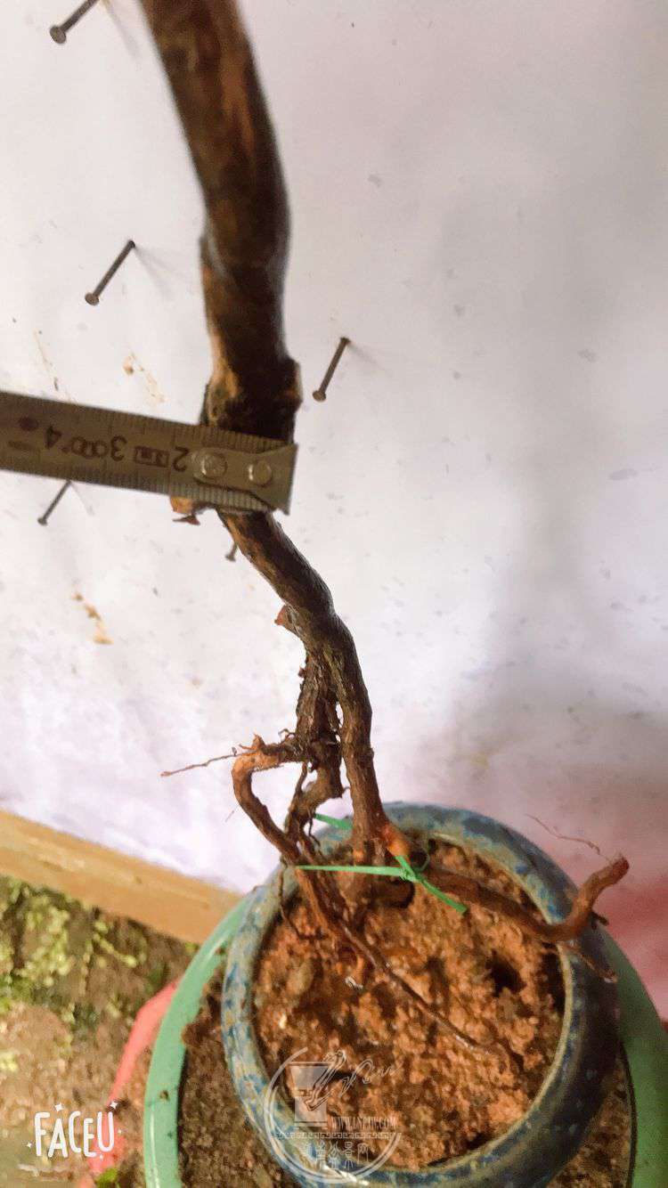 QQͼƬ20190508121920.jpg