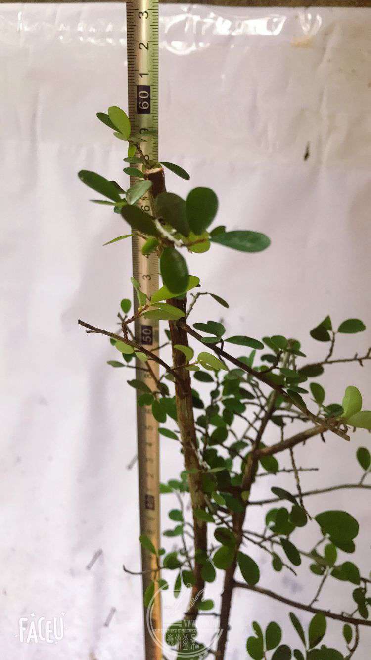 QQͼƬ20190508122437.jpg