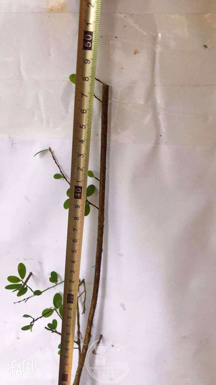 QQͼƬ20190508122951.jpg