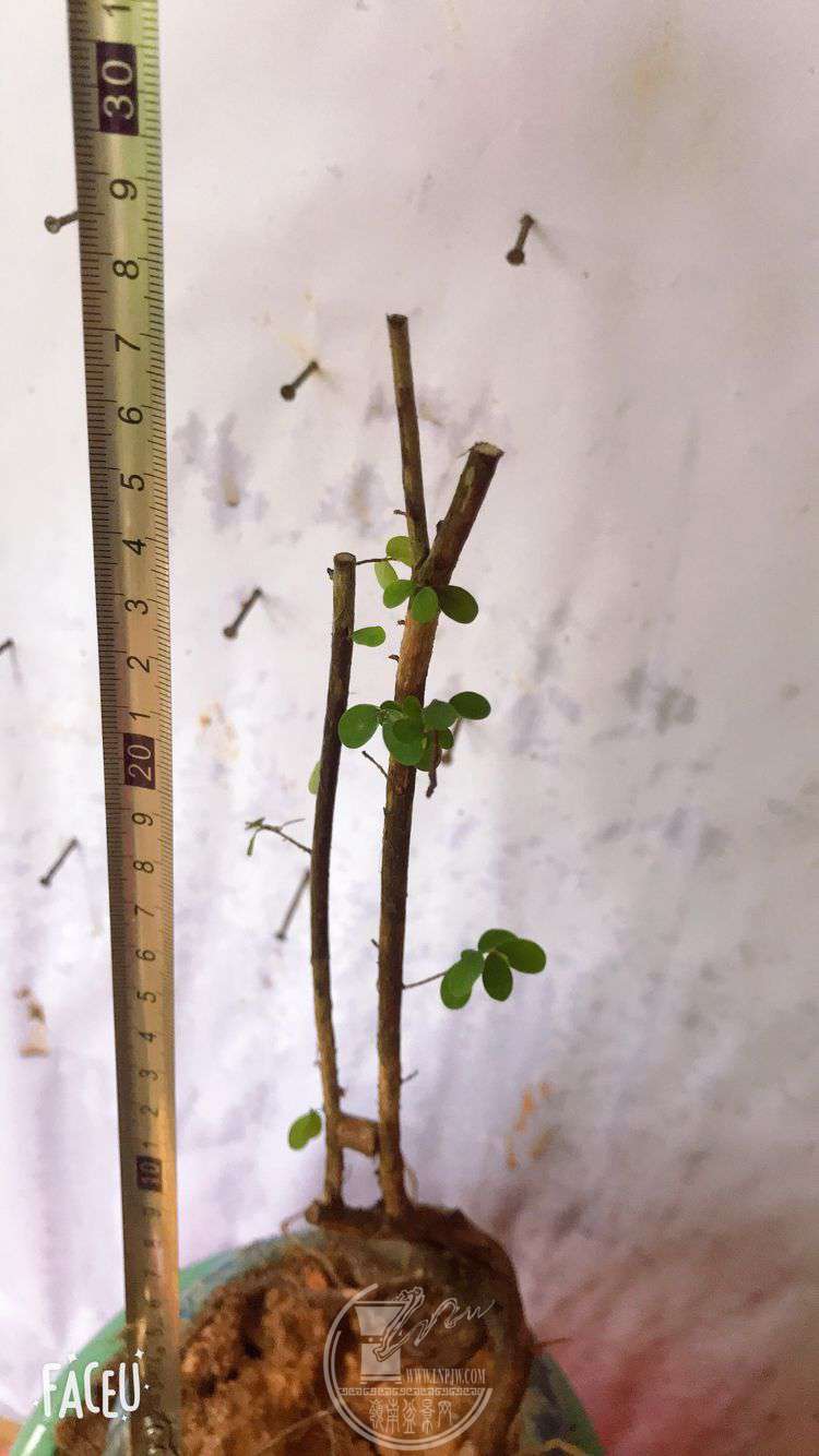 QQͼƬ20190508124724.jpg