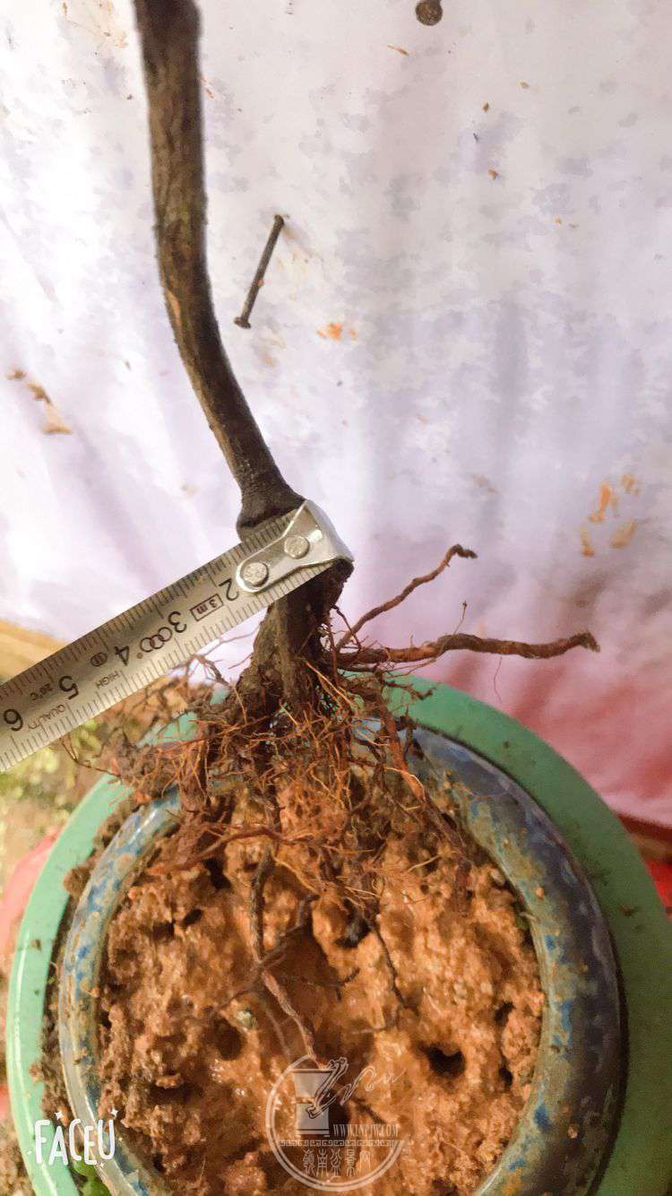 QQͼƬ20190508130259.jpg