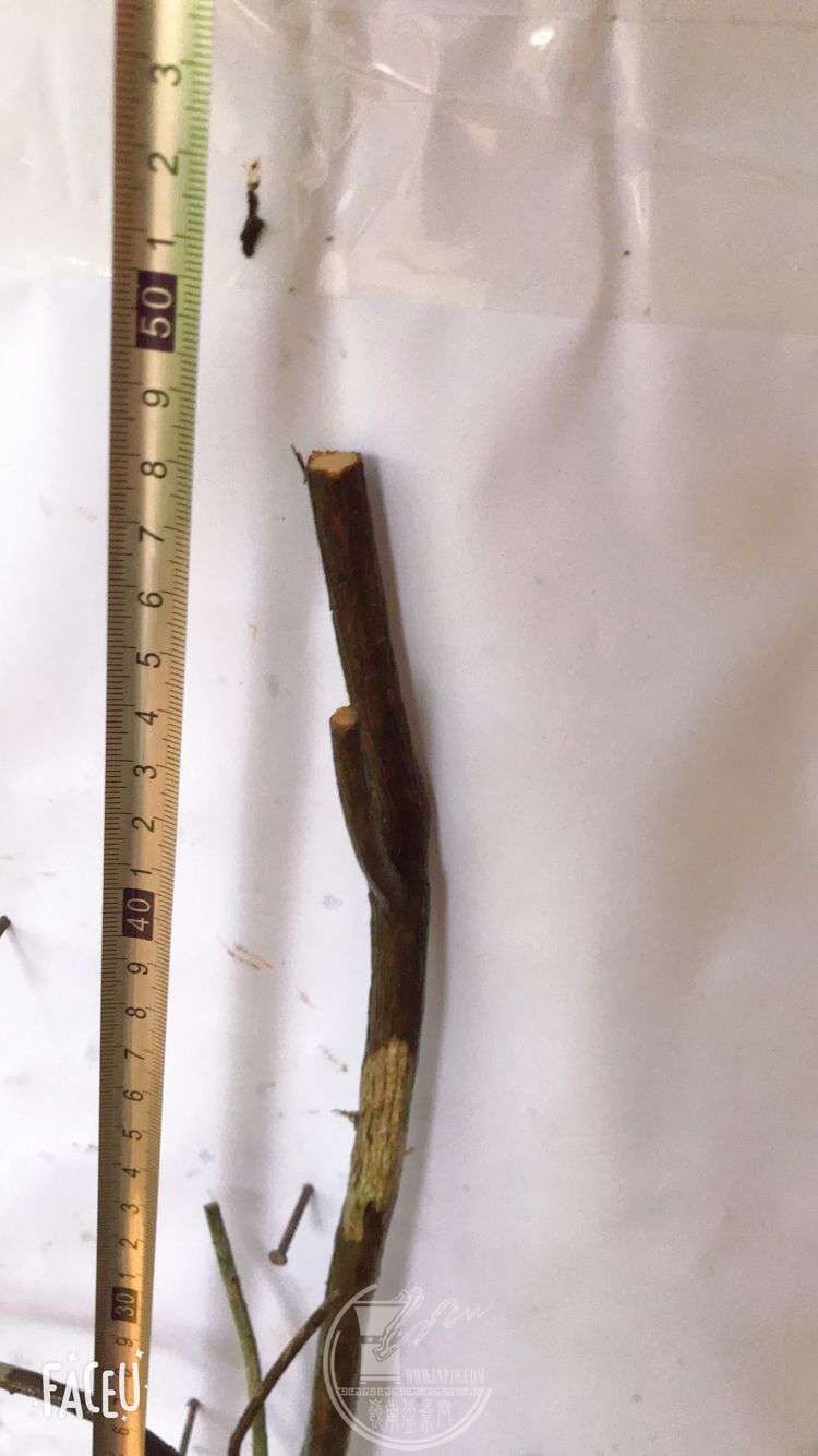QQͼƬ20190508130525.jpg