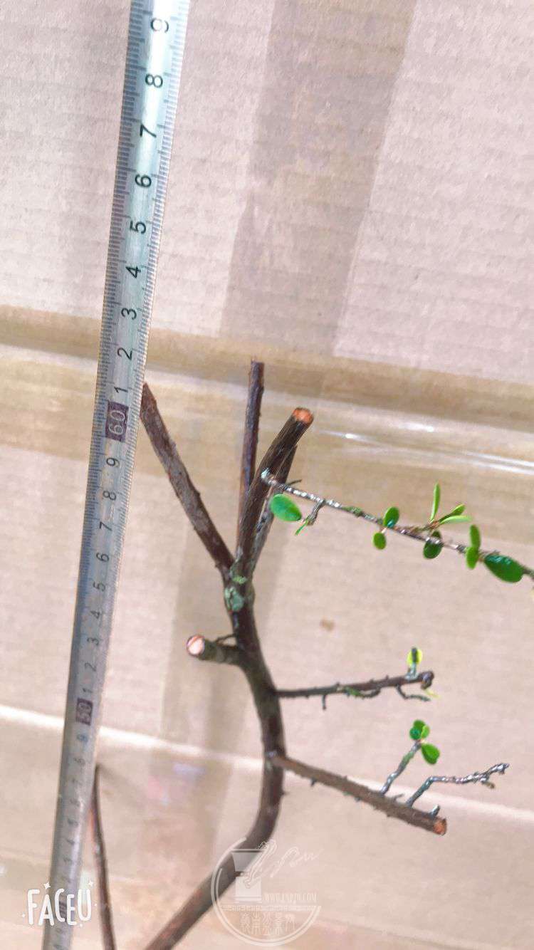 QQͼƬ20190601221319.jpg