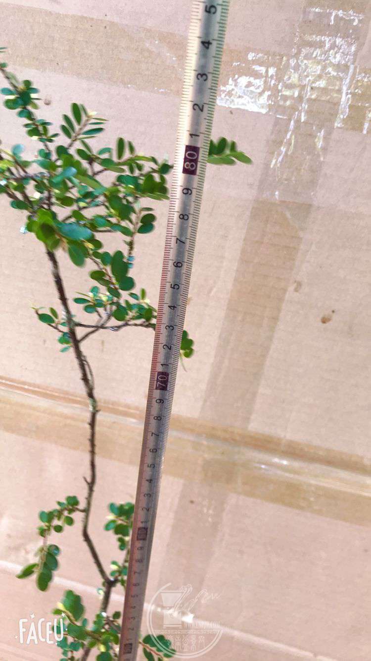QQͼƬ20190601230329.jpg