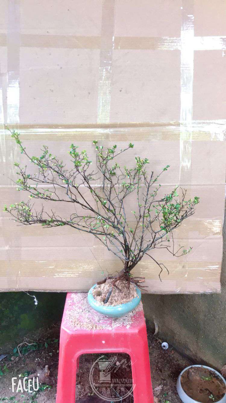 QQͼƬ20190601230800.jpg