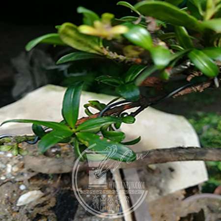΢ͼƬ_20190606201505.jpg
