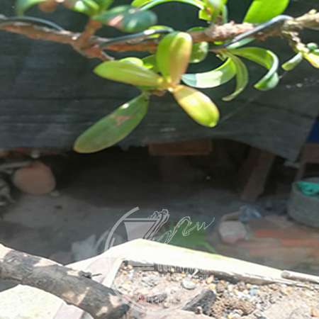 ΢ͼƬ_20190606201520.jpg