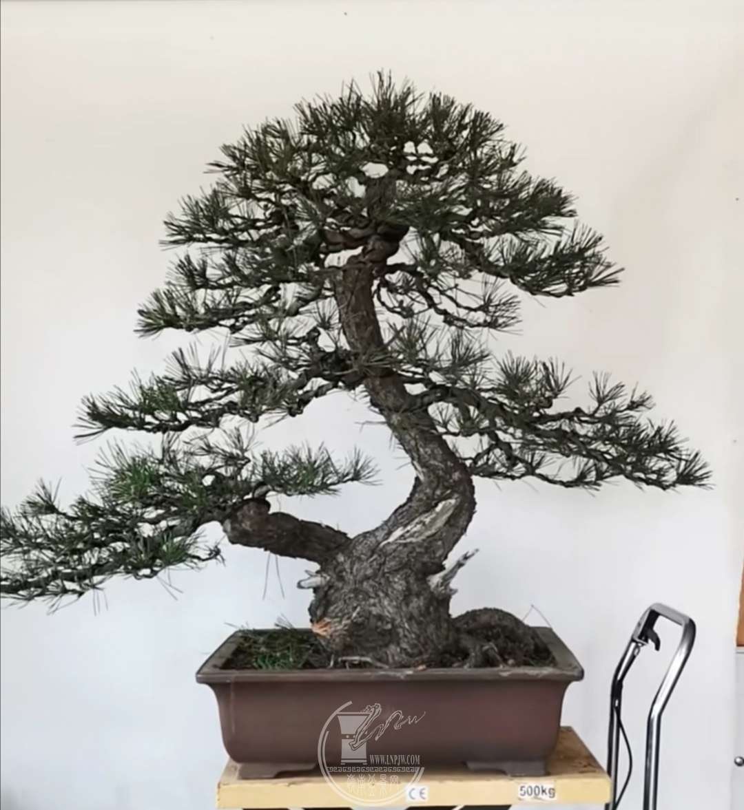 Screenshot_20190615_151811.jpg