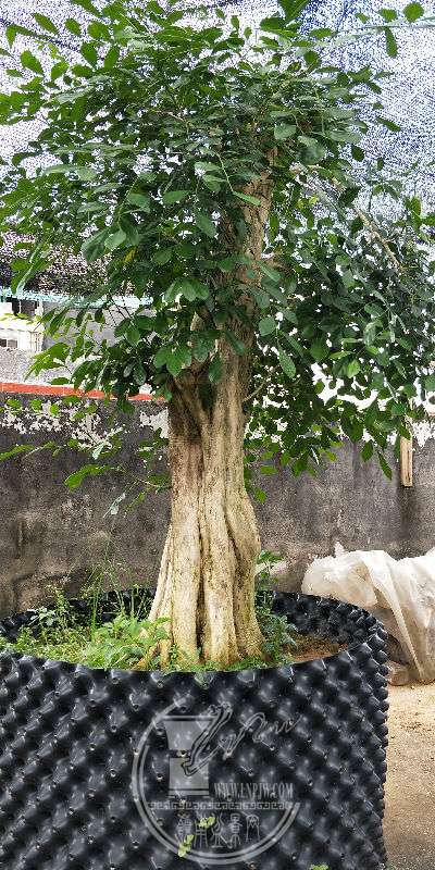 IMG20190621154834.jpg