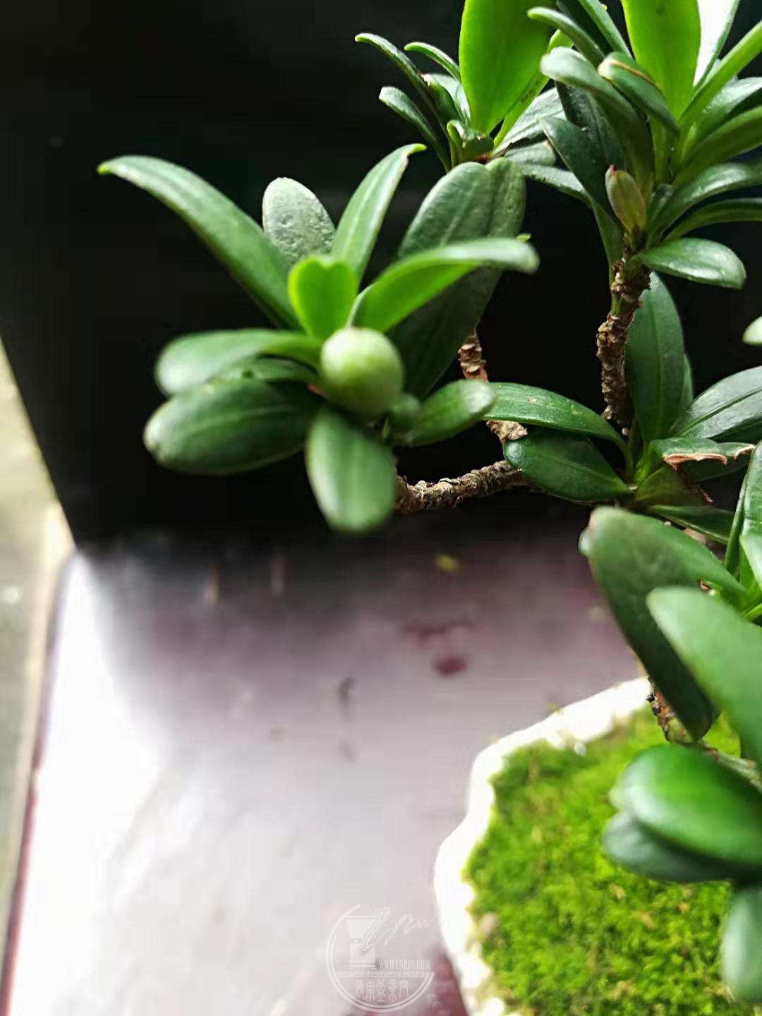 ΢ͼƬ_20190630232306.jpg