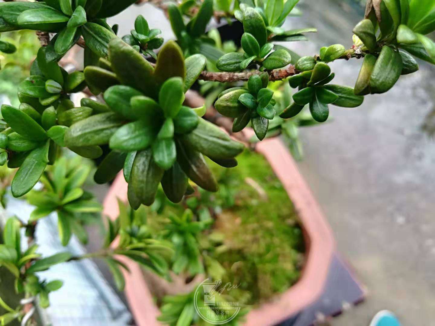 ΢ͼƬ_20190630232146.jpg